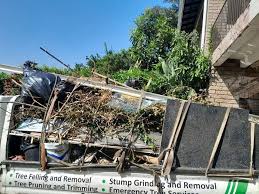 Best Yard Waste Removal  in Hallettsville, TX